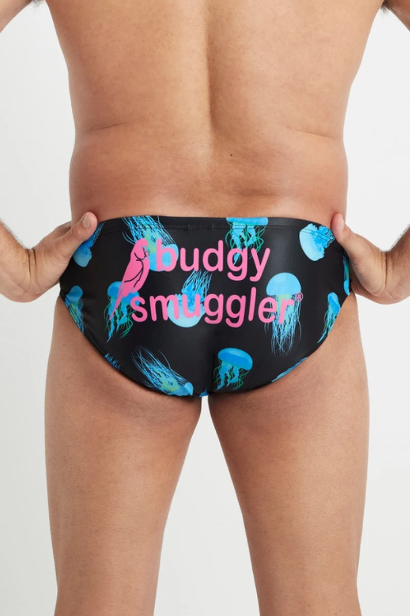 Box Jelly Fish - Image 4