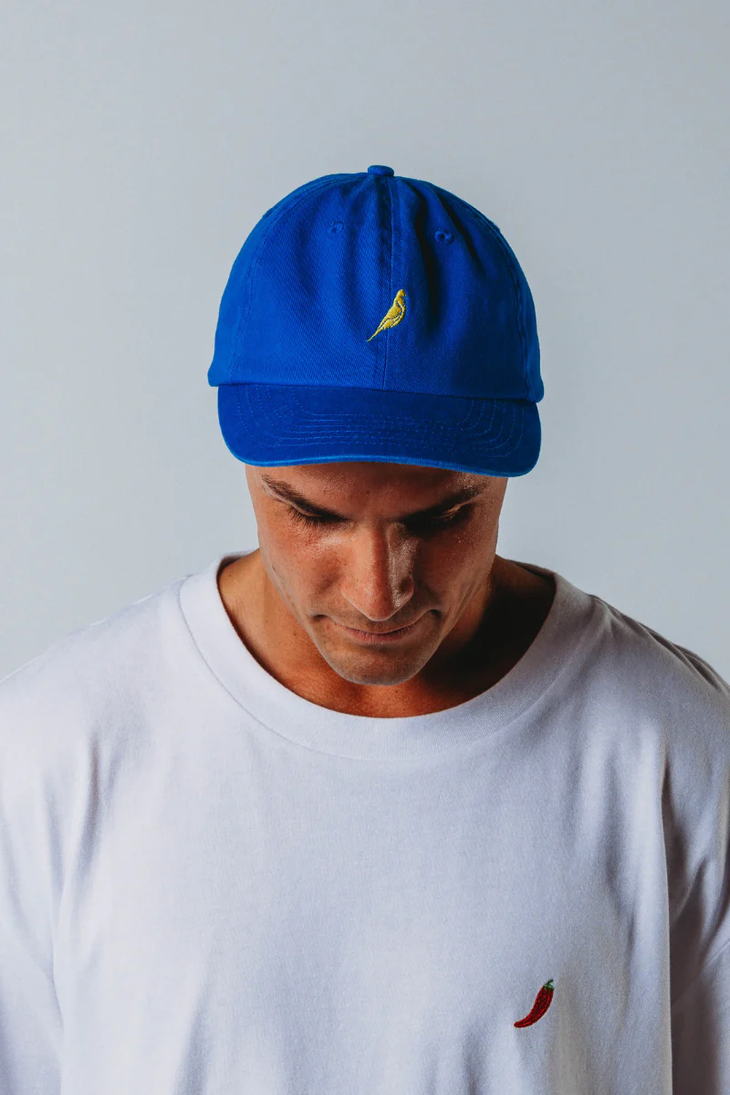 Dad Cap in Budgy Blue - Image 3