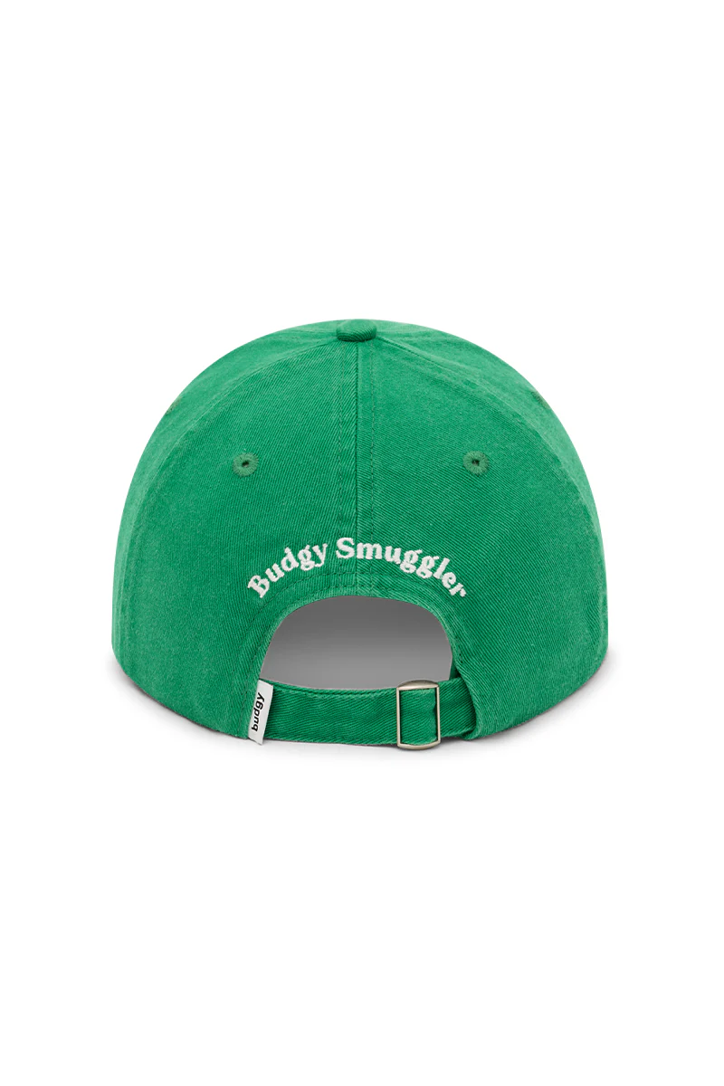 Dad Cap in Cricket Wickets - Image 3