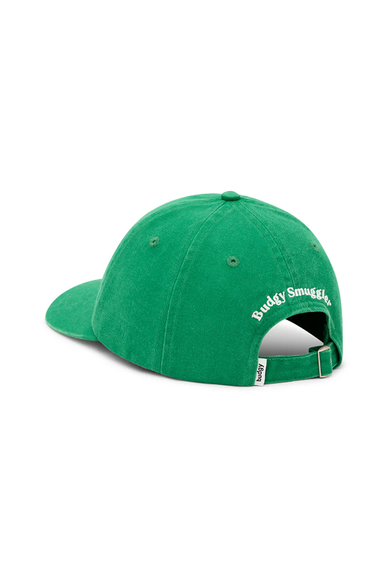 Dad Cap in Cricket Wickets - Image 4