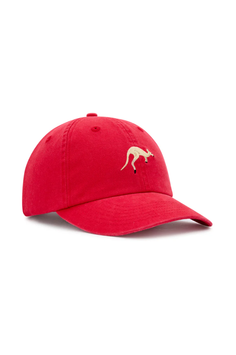 Dad Cap in The Hoppers - Image 2