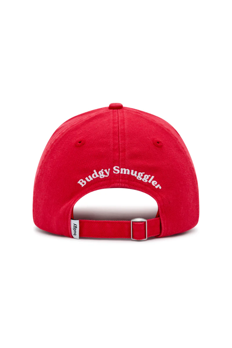 Dad Cap in The Hoppers - Image 3