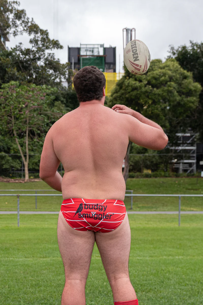 St George Illawarra Dragons - Image 3